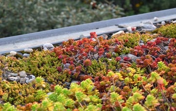 the cost of Brightgate green roof installation