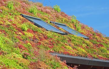 Brightgate living roof systems