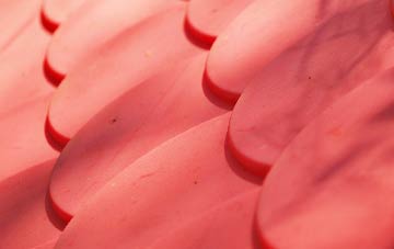 Brightgate plastic roof costs