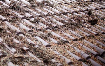 Brightgate roof cleaning companies