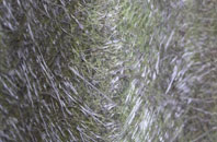 Brightgate fibreglass roof work